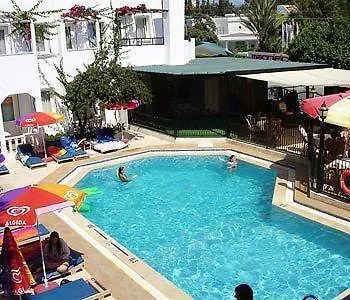 The Hello 3*